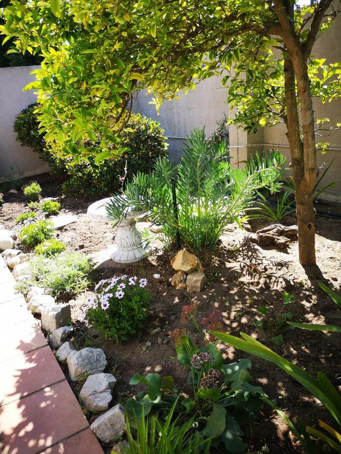 Appartement On Cloud 9 à Hermanus Extérieur photo